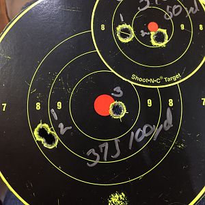 300 grain 375 Ruger Range Shots