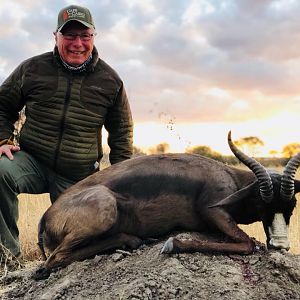 Hunt Black Springbok in South Africa