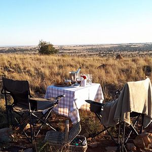 Sunset Bushveld Picnic South Africa