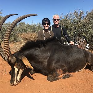 Bow Hunting Sable Antelope in South Africa