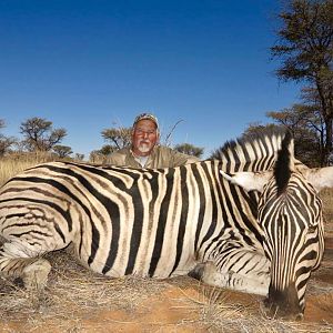 Namibia Hunt Burchell's Plain Zebra