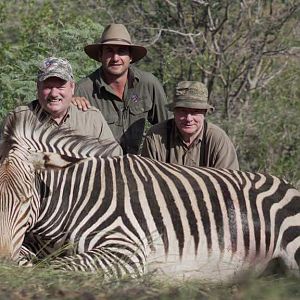 Hartmann's Mountain Zebra Hunt Namibia