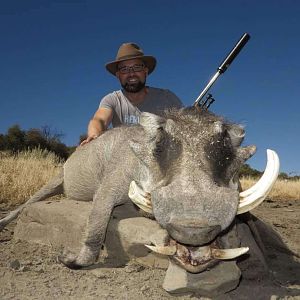 Warthog Hunt Namibia