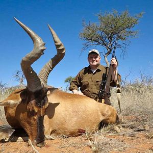 Namibia Hunting Red Hartebeest