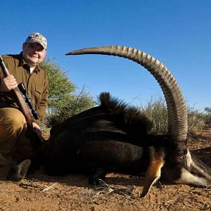 Sable Antelope Hunt Namibia