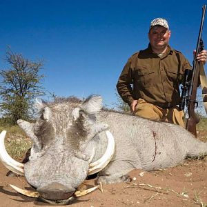 Warthog Hunting Namibia