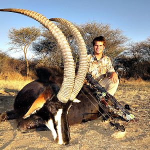 Bow Hunt Sable Antelope in South Africa