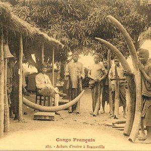 Ivory station in the old French Congo