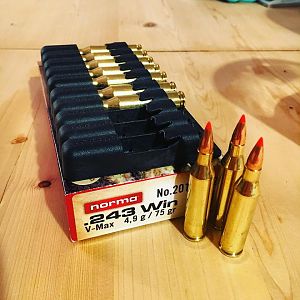 Norma .243 Ammunition