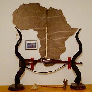 Kudu Horn & Skin Mounts Taxidermy