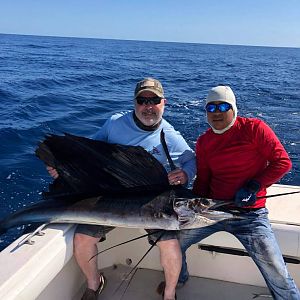 Panama Fishing Sailfish