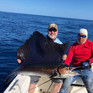 Panama Fishing Sailfish