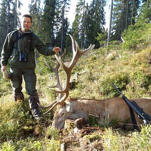 One of my first Red Stag Romania