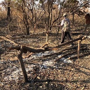 Poacher’s Camp Cameroon