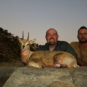 Hunt Klipspringer in Namibia