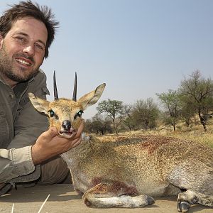 Namibia Hunting Klipspringer