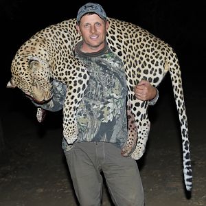 Namibia Hunting Leopard