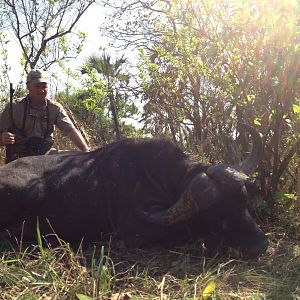 Hunting Buffalo in Mozambique