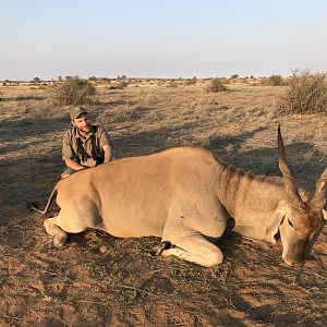 Eland Hunt Namibia