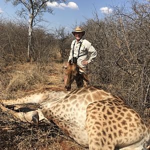 South Africa Hunting Giraffe