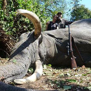 Elephant Hunting Zimbabwe