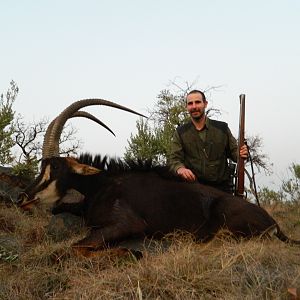 Sable Hunt in Mpumalanga