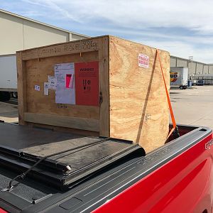 Trophy Crate Taxidermy