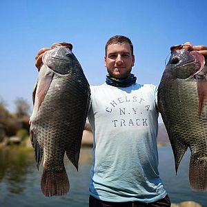 Fishing Bream in Cahora Bassa Mozambique