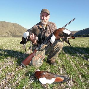 New Zealand Wing Shooting Ducks