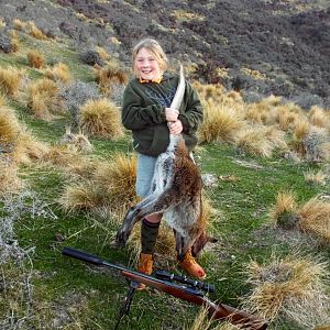 New Zealand Hunting Wallaby