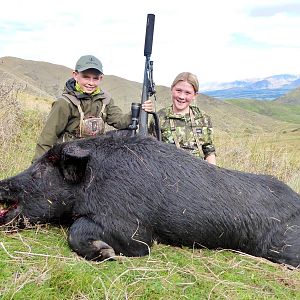 Hunt  Boar in New Zealand