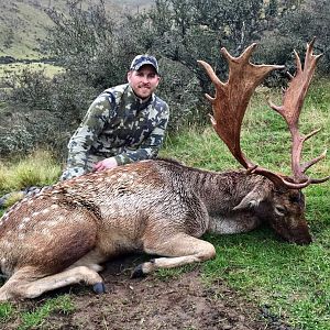 Hunting Fallow Deer New Zealand