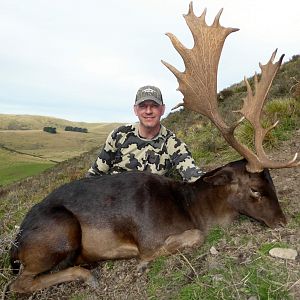 New Zealand Hunt Fallow Deer