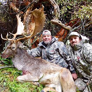 Fallow Deer Hunt New Zealand