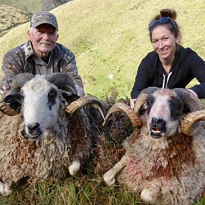 Hunting Arapawa Ram New Zealand