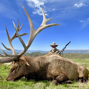 448" Inch Elk Hunting New Zealand