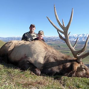 Hunting Elk in New Zealand