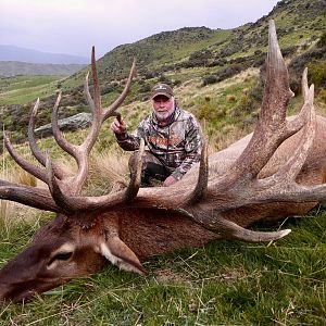 New Zealand Hunt Elk