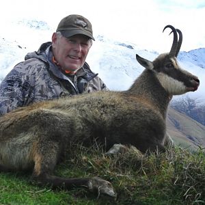 Alpine Chamois Hunting New Zealand