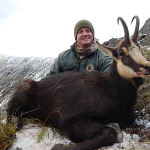 Hunt Alpine Chamois in New Zealand