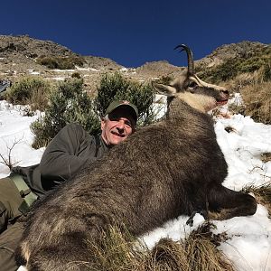 Alpine Chamois Hunting New Zealand