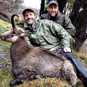 New Zealand Hunting Alpine Chamois
