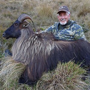 Tahr Hunting New Zealand
