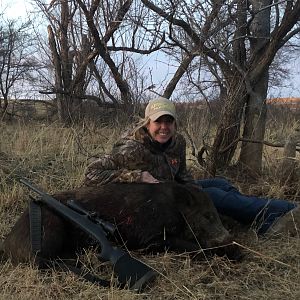 Texas USA Hunting Feral Pig