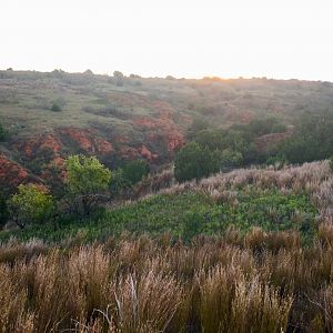 Hunting Terrain Texas USA