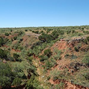 Hunting Terrain Texas USA