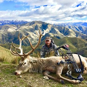 New Zealand Bow Hunt Red Stag