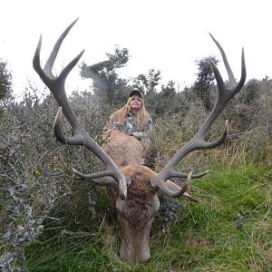 Hunting Red Stag in New Zealand