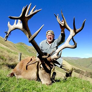 New Zealand Hunt 345" Inch Red Stag