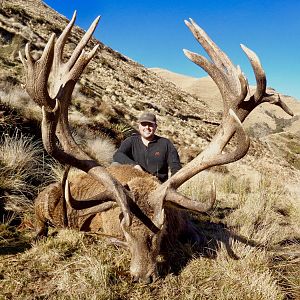 365" Inch Red Stag Hunting New Zealand